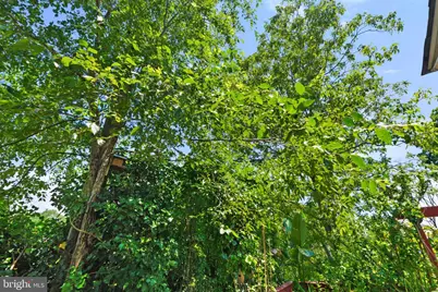 720 S Kent Street, Winchester, VA 22601 - Photo 97