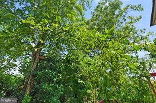 720 S Kent St, Winchester, VA 22601 - Photo 97