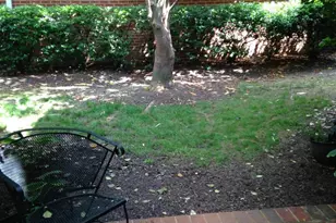 1304 Ramseur Ln, Winchester, VA 22601 - Photo 3