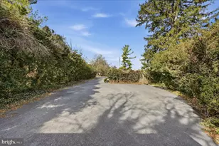 217 W Boscawen St, Winchester, VA 22601 - Photo 91