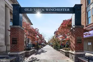 329 Wood Ave, Winchester, VA 22601 - Photo 87