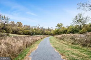 329 Wood Ave, Winchester, VA 22601 - Photo 107