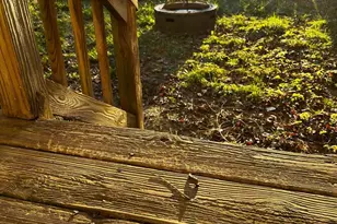 2906 Sorrell Ct, Winchester, VA 22601 - Photo 13