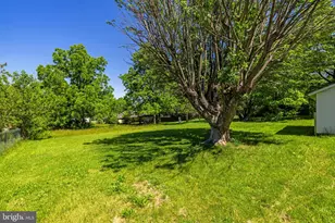 2917 1st St, Winchester, VA 22601 - Photo 45