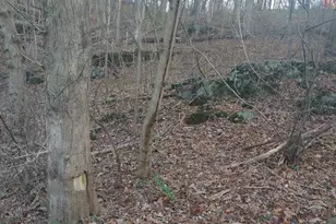 Pin Oak Rd, Front Royal, VA 22630 - Photo 1