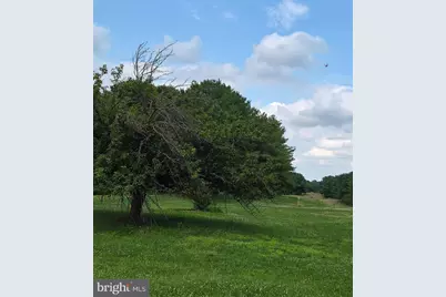 Bowling View #LOT 46E, Front Royal, VA 22630 - Photo 19