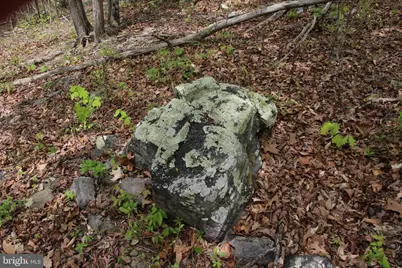 Drummer Hill Road, Front Royal, VA 22630 - Photo 15