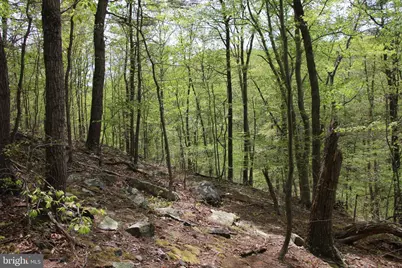 Drummer Hill Road, Front Royal, VA 22630 - Photo 11