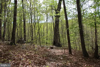 Drummer Hill Road, Front Royal, VA 22630 - Photo 13