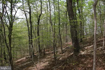 Drummer Hill Road, Front Royal, VA 22630 - Photo 21