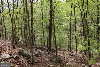 Drummer Hill Road, Front Royal, VA 22630 - Photo 17