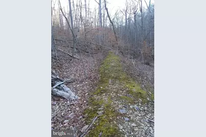 Drummer Hill Road, Front Royal, VA 22630 - Photo 1