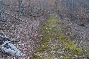Drummer Hill Rd, Front Royal, VA 22630 - Photo 1
