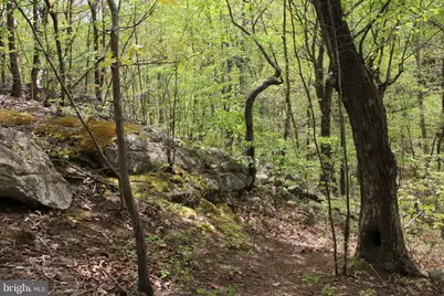 Drummer Hill Road, Front Royal, VA 22630 - Photo 19
