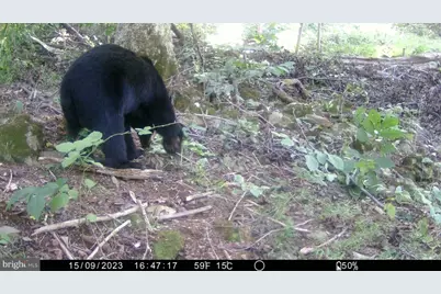 Wapping Farm Road, Front Royal, VA 22630 - Photo 11