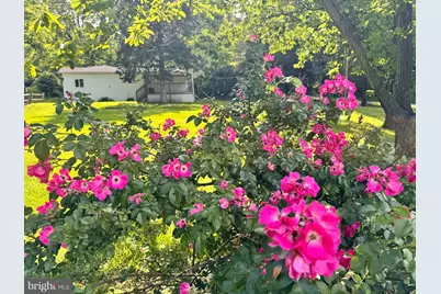 14 Summit Point Drive, Front Royal, VA 22630 - Photo 29