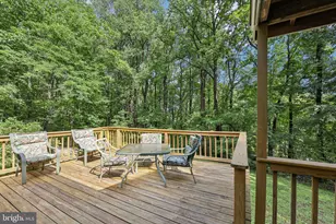 28 Cliff Rd, Front Royal, VA 22630 - Photo 47