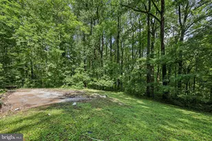 28 Cliff Rd, Front Royal, VA 22630 - Photo 63