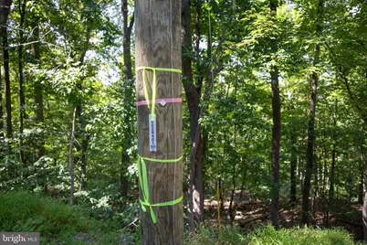 Lot 26 Massanutten Mountain Drive, Front Royal, VA 22630 - Photo 17