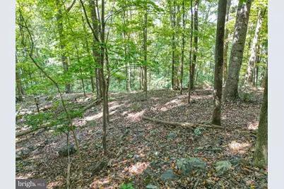 Lot 26 Massanutten Mountain Drive, Front Royal, VA 22630 - Photo 5