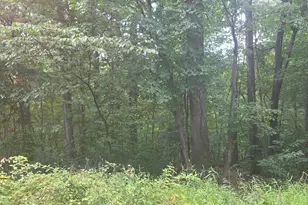 Cherrywood Rd, Front Royal, VA 22630 - Photo 1