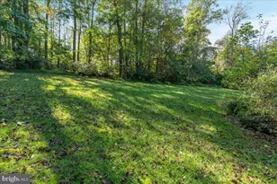 126 Locust Tree Ln, Front Royal, VA 22630 - Photo 35