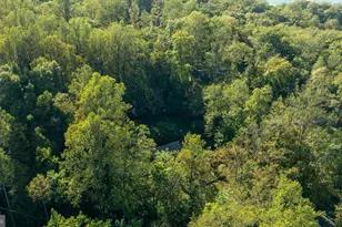 126 Locust Tree Ln, Front Royal, VA 22630 - Photo 43