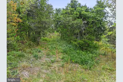 Andrews, Strasburg, VA 22657 - Photo 23