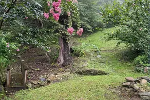 236 Piedmont Orchard Rd, Linden, VA 22642 - Photo 33