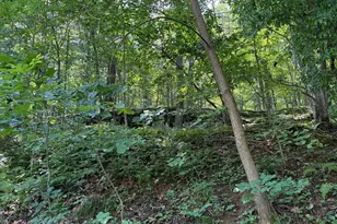 236 Piedmont Orchard Rd, Linden, VA 22642 - Photo 31