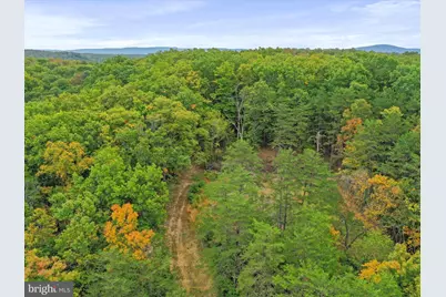 Andrews Road, Strasburg, VA 22657 - Photo 21