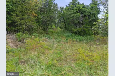 Andrews Road, Strasburg, VA 22657 - Photo 5