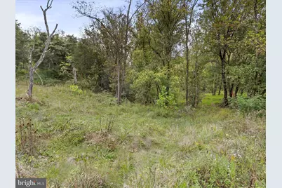 Andrews Road, Strasburg, VA 22657 - Photo 3