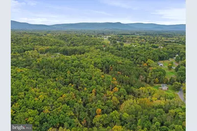 Andrews Road, Strasburg, VA 22657 - Photo 15