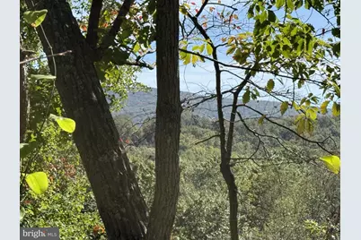 Lot 59 Old Oregon Road, Front Royal, VA 22630 - Photo 3