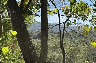 Lot 59 Old Oregon Rd, Front Royal, VA 22630 - Photo 5