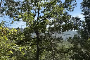 Lot 59 Old Oregon Rd, Front Royal, VA 22630 - Photo 5