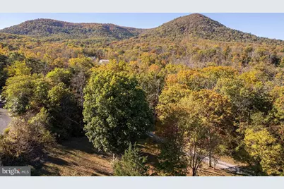 155 Signal Court, Strasburg, VA 22657 - Photo 43