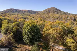 155 Signal Ct, Strasburg, VA 22657 - Photo 43