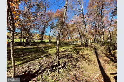 Lot 63B Buck Mountain Rd, Bentonville, VA 22610 - Photo 49