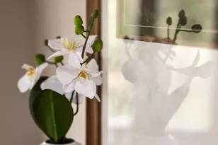 730 Bennys Bch Rd, Front Royal, VA 22630 - Photo 13