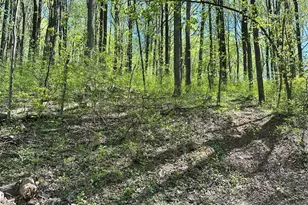 Reid Dr, Front Royal, VA 22630 - Photo 1