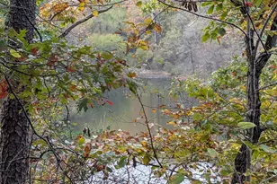 181 Brook View Rd, Front Royal, VA 22630 - Photo 43