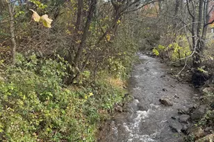 Lot 8 Creek Rd, Front Royal, VA 22630 - Photo 83