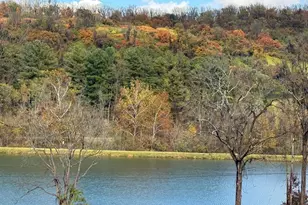 Lot 8 Creek Rd, Front Royal, VA 22630 - Photo 81