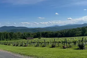 3 Lee Dr, Linden, VA 22642 - Photo 47