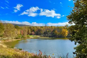 3 Lee Dr, Linden, VA 22642 - Photo 41