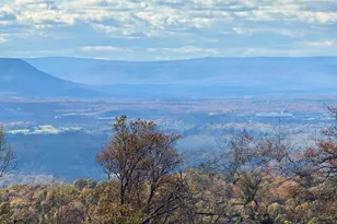 4 Lee Dr, Linden, VA 22642 - Photo 47