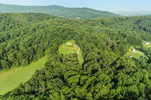 472 Wesley Ln, Bentonville, VA 22610 - Photo 51