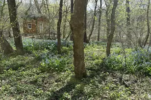 1778 T-Bird Dr, Front Royal, VA 22630 - Photo 13